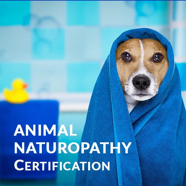 Animal Naturopathy Certification - 100% Online Training
